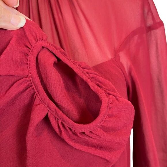 Slate & Willow Rose Illusion Dress Chiffon Lined Elastic Waist Red Womens Size 6 - Picture 4 of 14